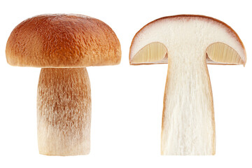 mushroom, boletus edulis, porcini, king bolete, isolated on white background, clipping path, full depth of field