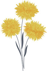 Obraz premium Three yellow flowers. Vector file for designs.