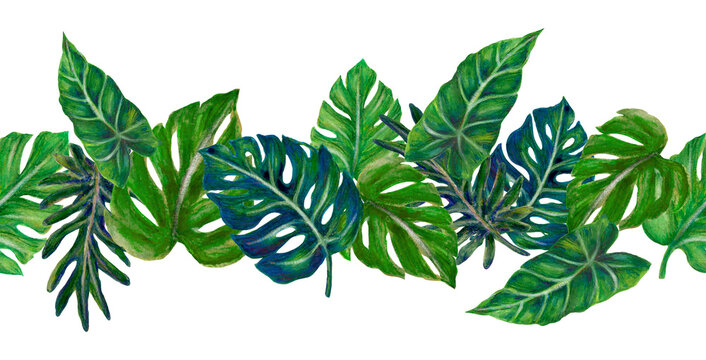 Amazon animal and Tropical Plants exotic watercolor illustration