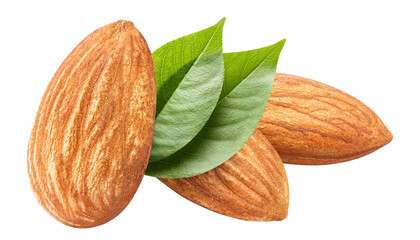Composition of delicious almonds cut out