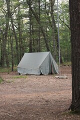 tent in the forest
