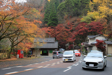 Obraz premium 秋の観光地