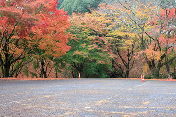 秋の公園の駐車場