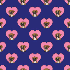 Fototapeta premium Boxer dog with paws pattern, Valentine's day pink heart wallpaper. Love heart with pet head holiday texture. Dog face Holding Heart Cartoon square background. St Valentine's day present paper.