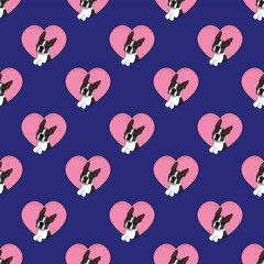 Boston Terrier dog with paws pattern, Valentine's day heart wallpaper. Love heart with pet head holiday texture. Dog face Holding Heart Cartoon square background. St Valentine's day present paper.