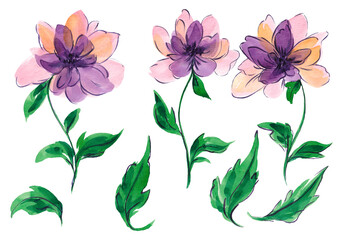 Drawn watercolor purple flowers. Clip art. Texture. Watercolor flower. Decor set. Spring. Autumn. Holidays. Floristics. Flowers set. Violet.