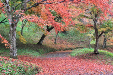 雨の日の秋の公園