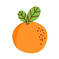 slice orange fruit illustration