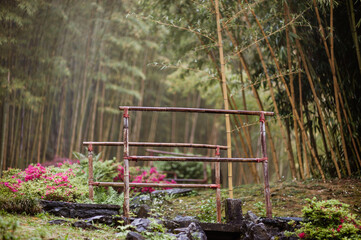 Botanischer Garten, asiatischer Teil bei Villa Carlotta beim Regen in Italien