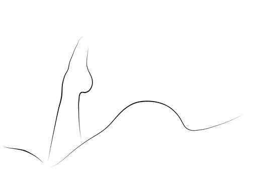 beautiful abstract  line drawing of female form minimalist .