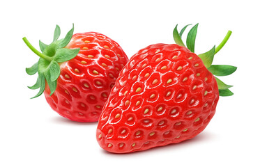 いちご 苺 イラスト リアル セット