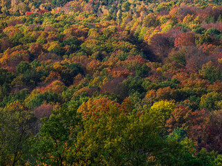 autumn in the mountains