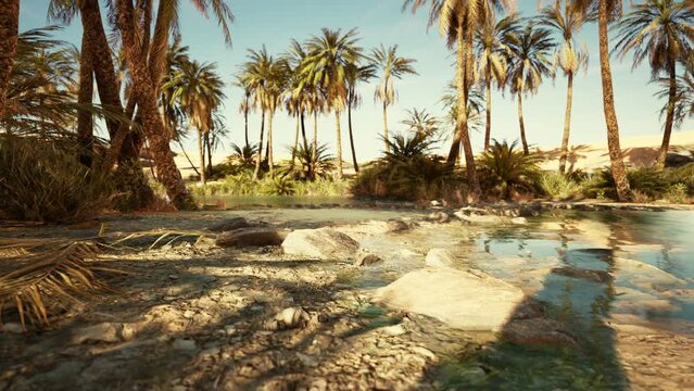 An desert oasis in the Oman