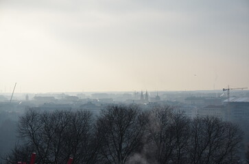 misty morning mist