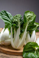 Young organic white bok choy or bak choi Chinese cabbage ready to cook