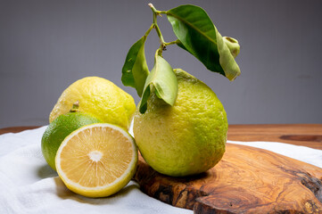 Variety of citrus fruits, bergamot and lemon citron cedrate or Citrus medica, large fragrant citrus...