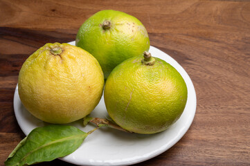 Fresh ripe bergamot orange fruits, fragrant citrus used in earl grey tea, medicine and spa treatments