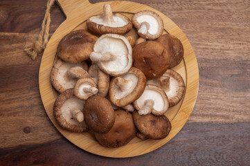 Fresh brown Lentinula edodes or shiitake edible mushrooms