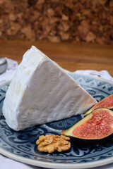 Cheese collection, French brie de Meaux cheese from Seine-et-Marne region with white mold