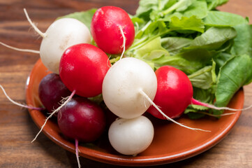 Fresh washed white and red radish vegetables ready to eat close up