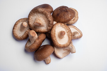 Fresh brown Lentinula edodes or shiitake edible mushrooms isolated on white background