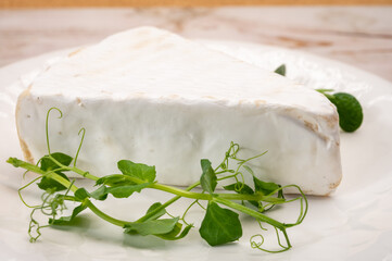 Cheese collection, French brie de Meaux cheese from Seine-et-Marne region with white mold