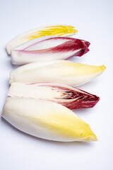 Fresh organic Belgian endivi or green and red chicory lettuce close up isolated on white background