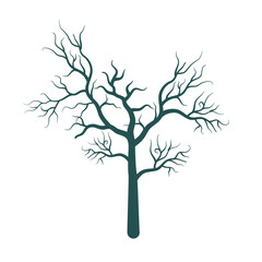 Obraz premium dry dead tree silhouette