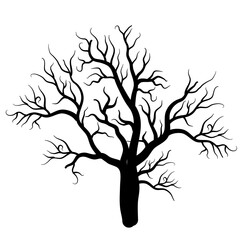 dry dead tree silhouette