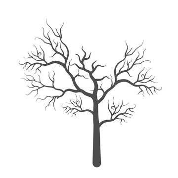 dry dead tree silhouette