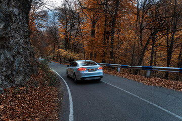 The car rides on an asphalt road through the forest