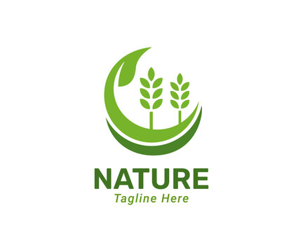 Green nature logo design template. Modern and simple logo for nature company