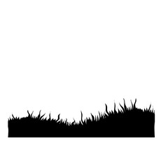 Meadow grass background