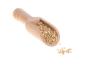  quinoa isolated