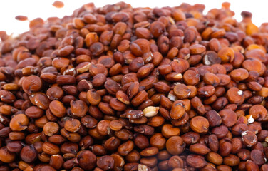 Fototapeta premium red quinoa isolated