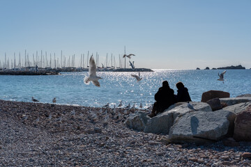 People on the shore feeding birds
