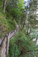 Tovel lake Trentino Alto Adige Italy