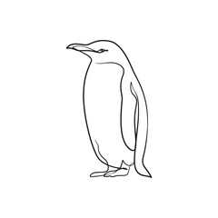 Penguin continuous one line art drawing