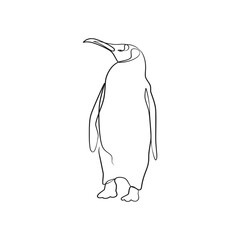 Penguin continuous one line art drawing