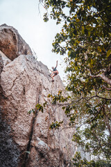 escalando