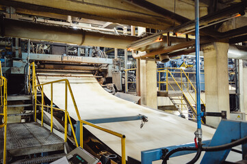 The process of plywood production at the enterprise. Wooden sheet on the machine. Production of veneer for furniture and plywood.