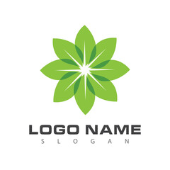 Leaf and Shutter Lens Aperture for Nature Photographer logo design inspiration