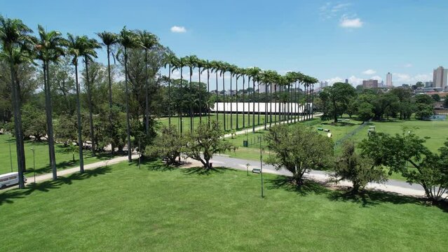 Aerial view of the Burle Marx park - Parque da Cidade, in S&atilde;o Jos&eacute; dos Campos, Brazil. Tall and beautiful palm trees.
