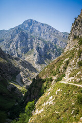Fototapeta na wymiar Mountain landscape, Picos de Europa, Asturias, Spain