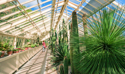 DUBLIN, IRELAND - AUGUST 4, 2022: Wide Angle View of the interior of a glasshouse of The National Botanic Gardens in Dublin, Ireland in a sunny day with blue sky.