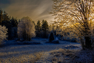Calm and peaceful winter morning with frozen grass meadow and blue nature and colorful ealry morning sunrise tones. Frosty winter wonderland in the countryside with blue shadows