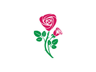 Naklejka premium pink rose vector design and illustration. pink rose with leaves. bouquet of pink roses.