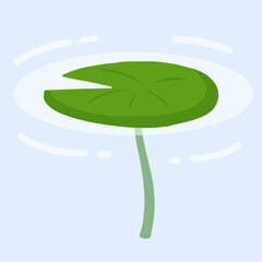 Water lily in pond. River plant. Green leaves