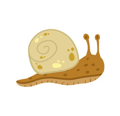 Snail with shell. Small brown insect. Forest slow slimy animal.