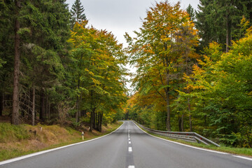 road in autumn